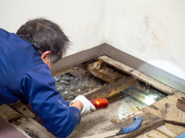 Water Damage Restoration in Roeland Park, KS
