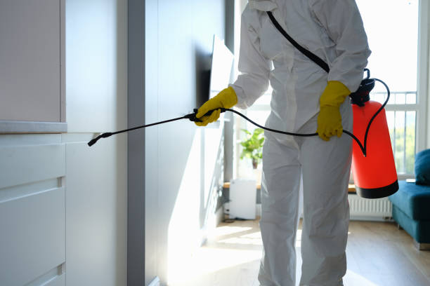 Best Attic Mold Removal  in Roeland Park, KS