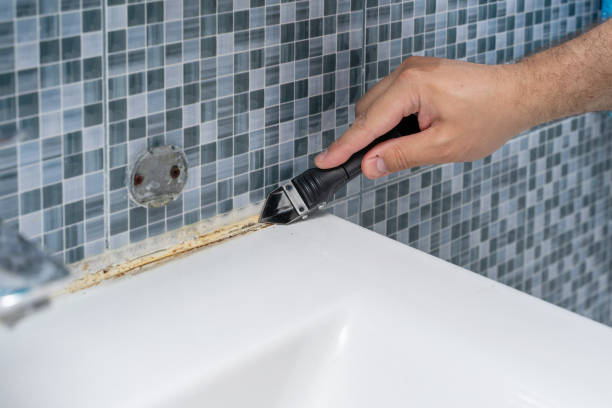 Best Mold Removal Company Near Me  in Roeland Park, KS